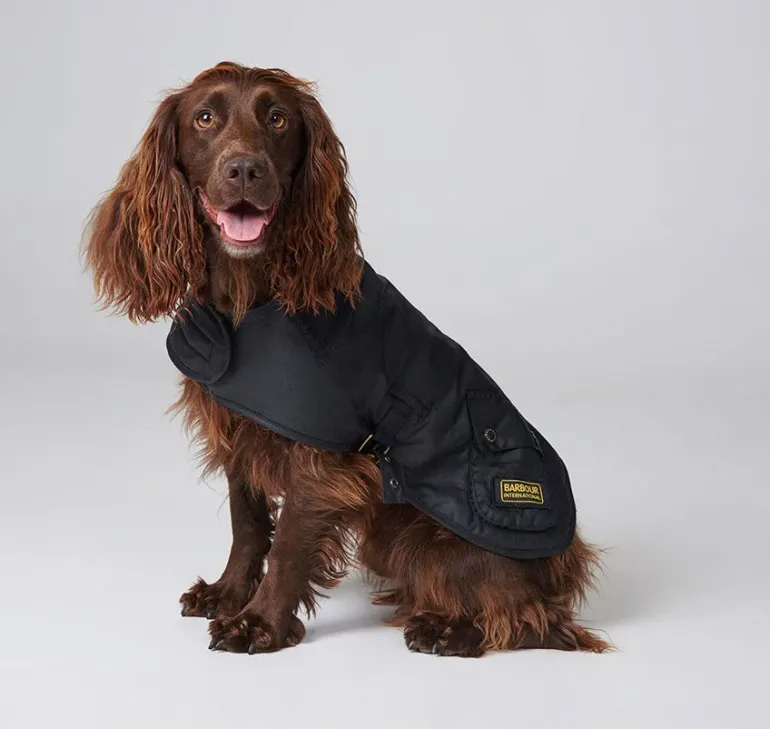 Barbour International Dog Coat