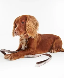 Barbour Reflective Dog Lead