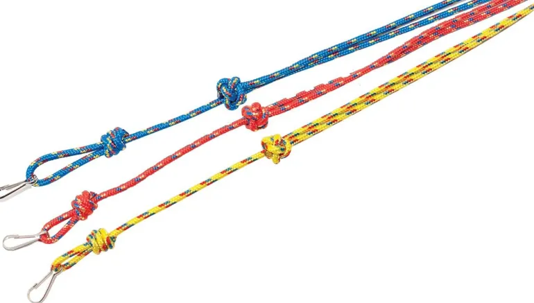 Bisley 3mm Lanyard Yellow Multi Coloured