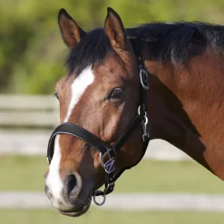 BITZ DELUXE PADDED HEADCOLLAR BLACK