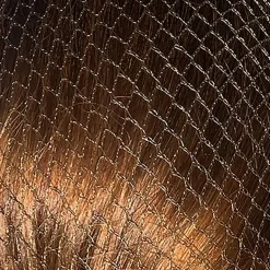 Bitz Twin Pack Hairnets