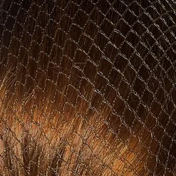 Bitz Twin Pack Hairnets