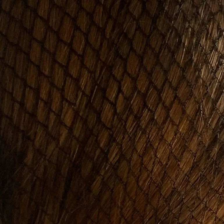 Bitz Twin Pack Hairnets