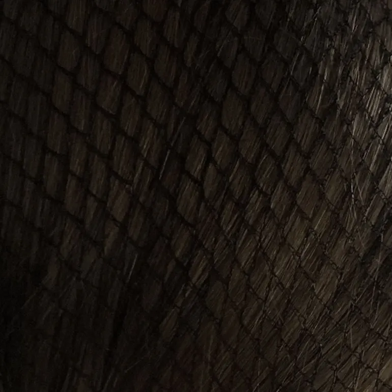 Bitz Twin Pack Hairnets