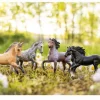 Breyer Poetry In Motion Gift Set