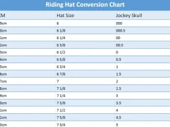 Champion X-Air Plus Jockey Skull