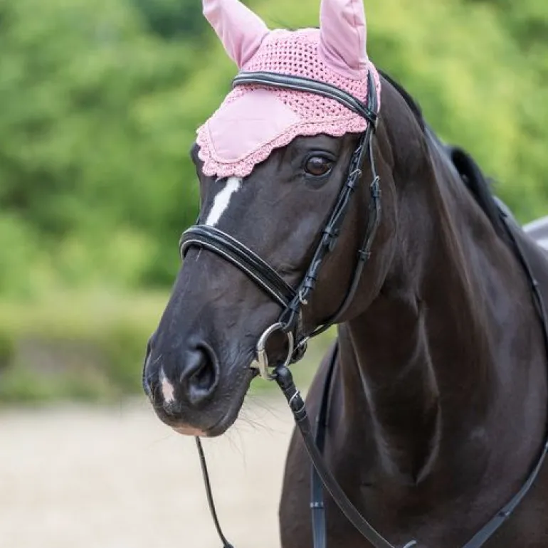 Covalliero Fly Veil SS23