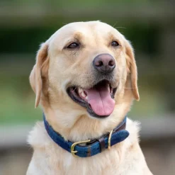 Digby & Fox Tweed Dog Collar