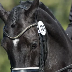 Equetech Bridle Numbers