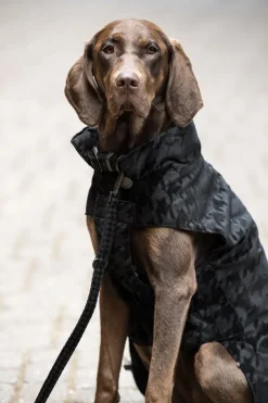 Eskadron Essence Dog Set - Lead and Collar