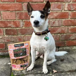 Green & Wild's Cornish Fishcakes - Salmon, Carrot & Turmeric