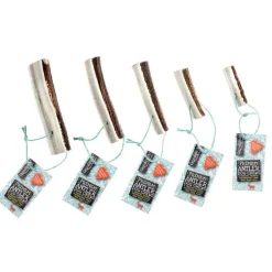 Green & Wild's Easy Antler Chew