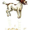 Greeting Card - Springer by Bryn Parry