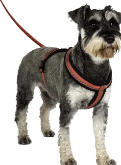 Halti Comfy Dog Harness