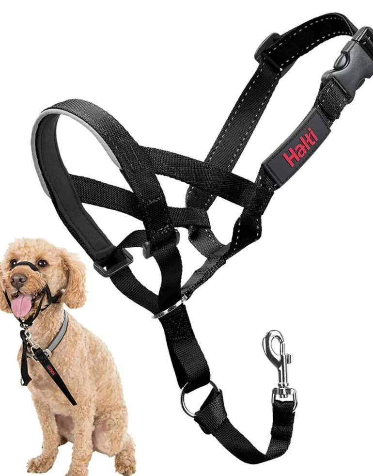 Halti Dog Headcollar