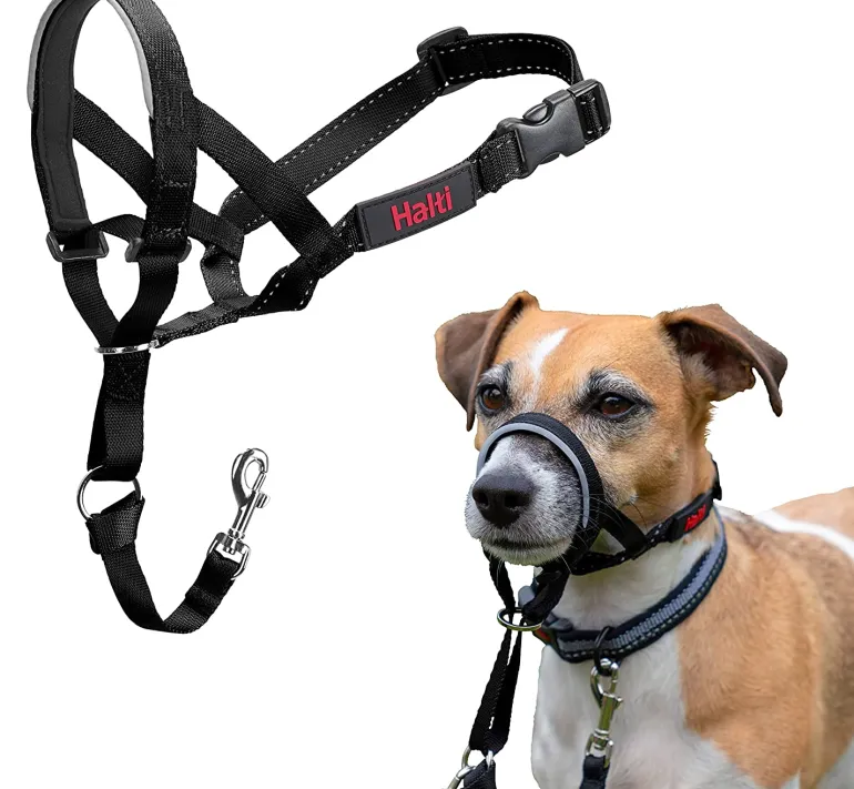 Halti Dog Headcollar