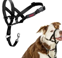 Halti Dog Headcollar