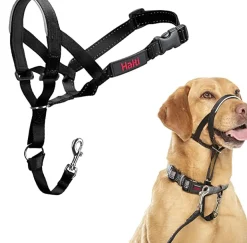 Halti Dog Headcollar