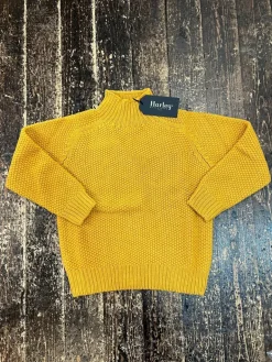 Harley of Scotland Women's Turtle Neck Moss Knit