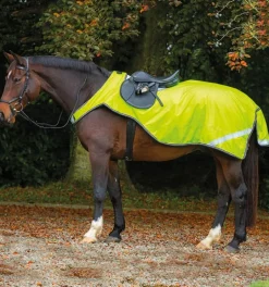 Horseware Amigo Reflective Competition Sheet