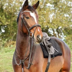 Hy Equestrian Rosciano Martingale