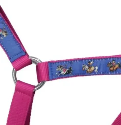 Hy Equestrian Thelwell Collection Race Head Collar and Lead Rope