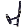 HY Foal Headcollar