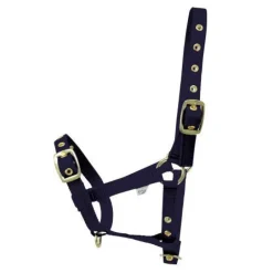 HY Foal Headcollar