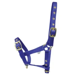 HY Foal Headcollar