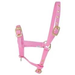 HY Foal Headcollar