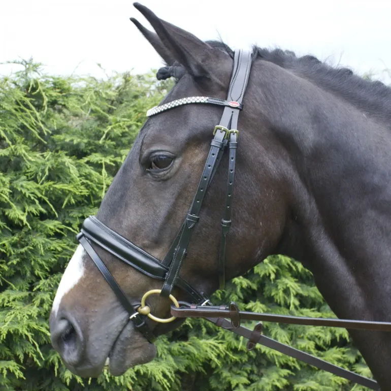 John Whitaker Barton Bling Flash Bridle
