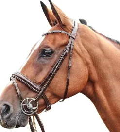 John Whitaker Barton Bling Flash Bridle