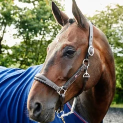 John Whitaker Chicago Leather Headcollar