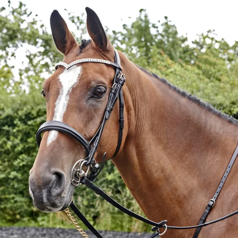John Whitaker Lynton Snaffle Bridle