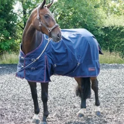 John Whitaker Rastrick 200g Turnout Rug