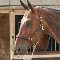 John Whitaker Ready to Ride Headcollar