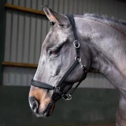 John Whitaker Ready to Ride Headcollar