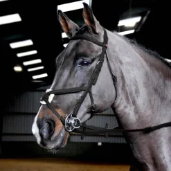 John Whitaker Ready to Ride Mexican Bridle