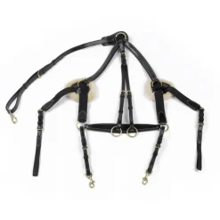 John Whitaker Valencia 5 Point Breastplate