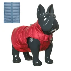 Jott Dog Jacket