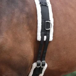 Kincade Lunge Roller With Fleece Padding Black Cob