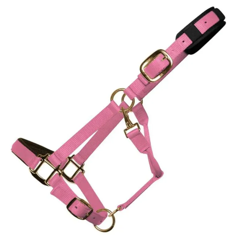 Km Elite Padded Headcollar Assorted Colours Large