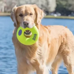 KONG AirDog Squeaker Donut
