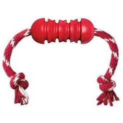 Kong Ball Dental