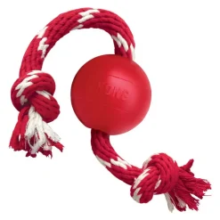Kong Ball With Rope