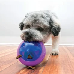 Kong Hopz Treat Ball