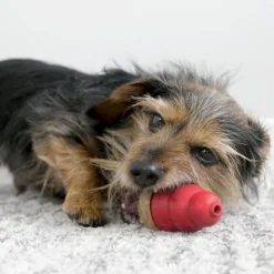 Kong Marathon Treat Chicken Small 2 Pieces