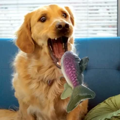 KONG Shieldz Wildz Fish