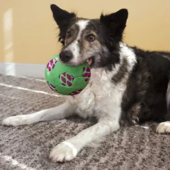 KONG Sneakerz Sport Soccer Ball