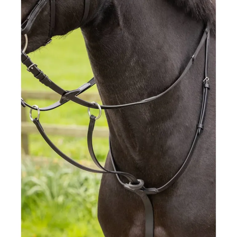LeMieux Arika Running Martingale